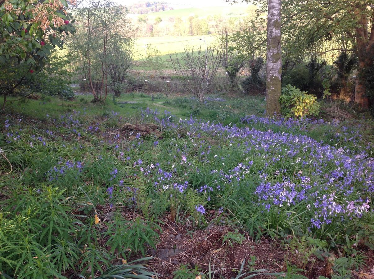 Cruachan House New Galloway Bagian luar foto